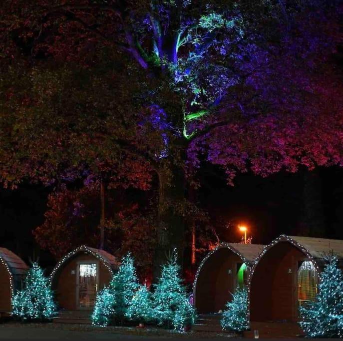 New Forest Lodge - 194 No Pets Fordingbridge Bagian luar foto